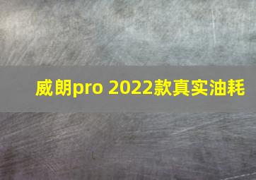 威朗pro 2022款真实油耗